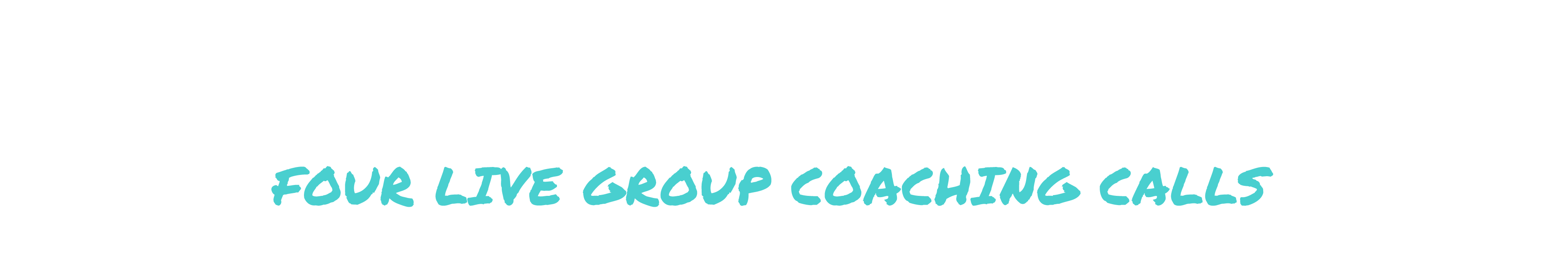 Four Live Group Coaching Calls: Value $380