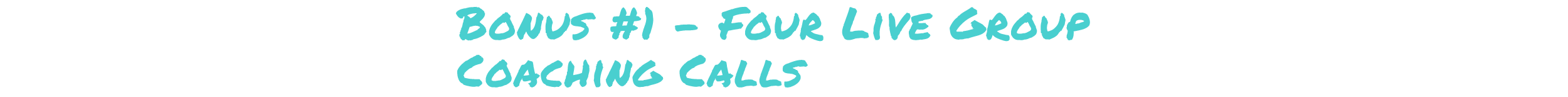 Bonus #1 - Four Live Group Coaching Calls