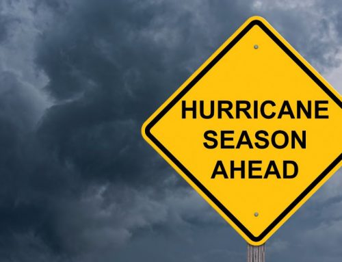 Investing During Hurricane Season