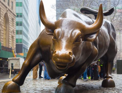 THE BULL MARKET THRIVES